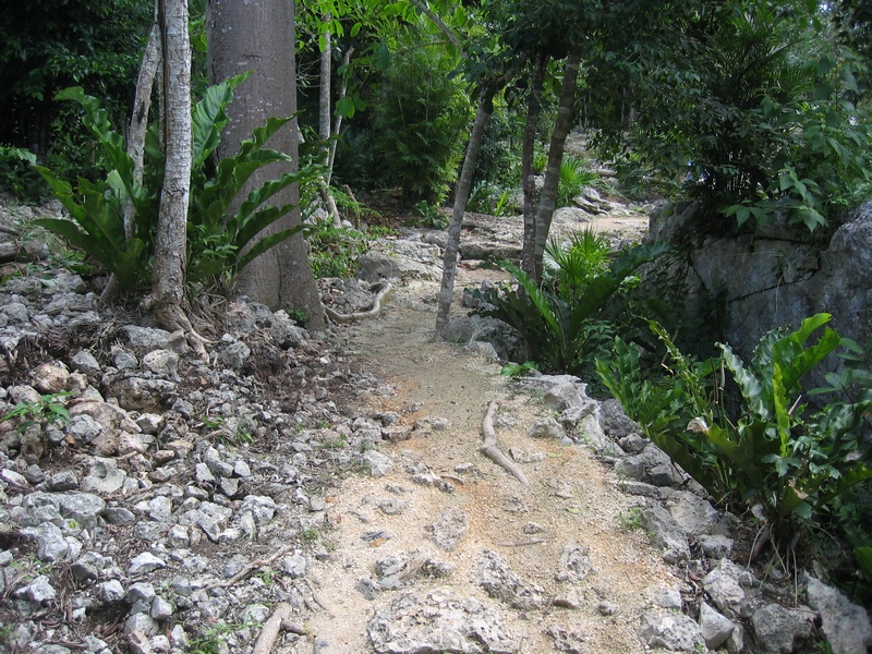 Der Weg zu der Cenote